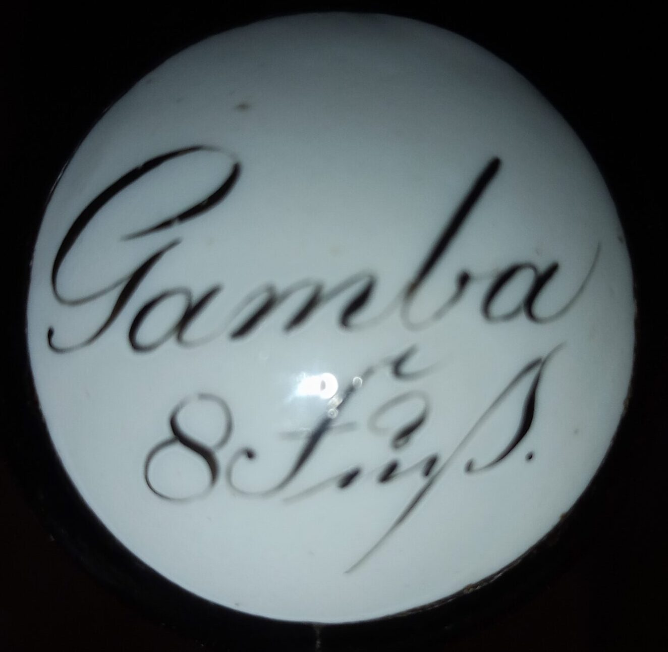 Gamba8 Gamba8